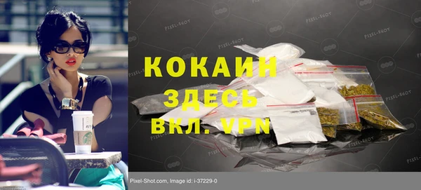 не бодяженный Алексин