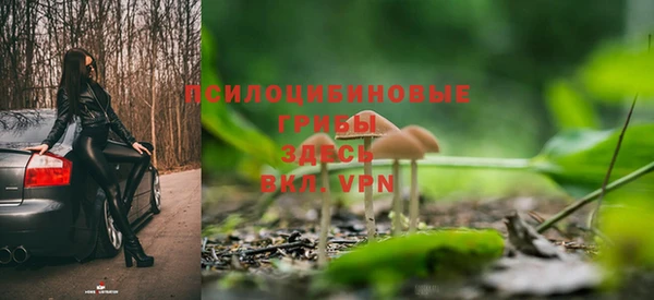 не бодяженный Алексин